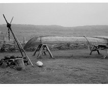 Newfoundland in B&W