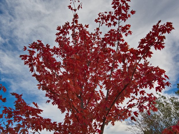 Autumn Autumn is my favorite time of year. Especially in the summer.