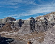 Painted Desert/Petrified Forest