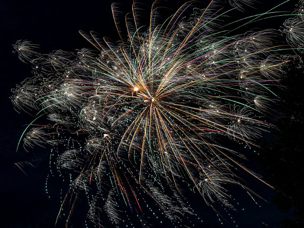 Lakeland Fireworks Lakeland HOA's annual fireworks display.